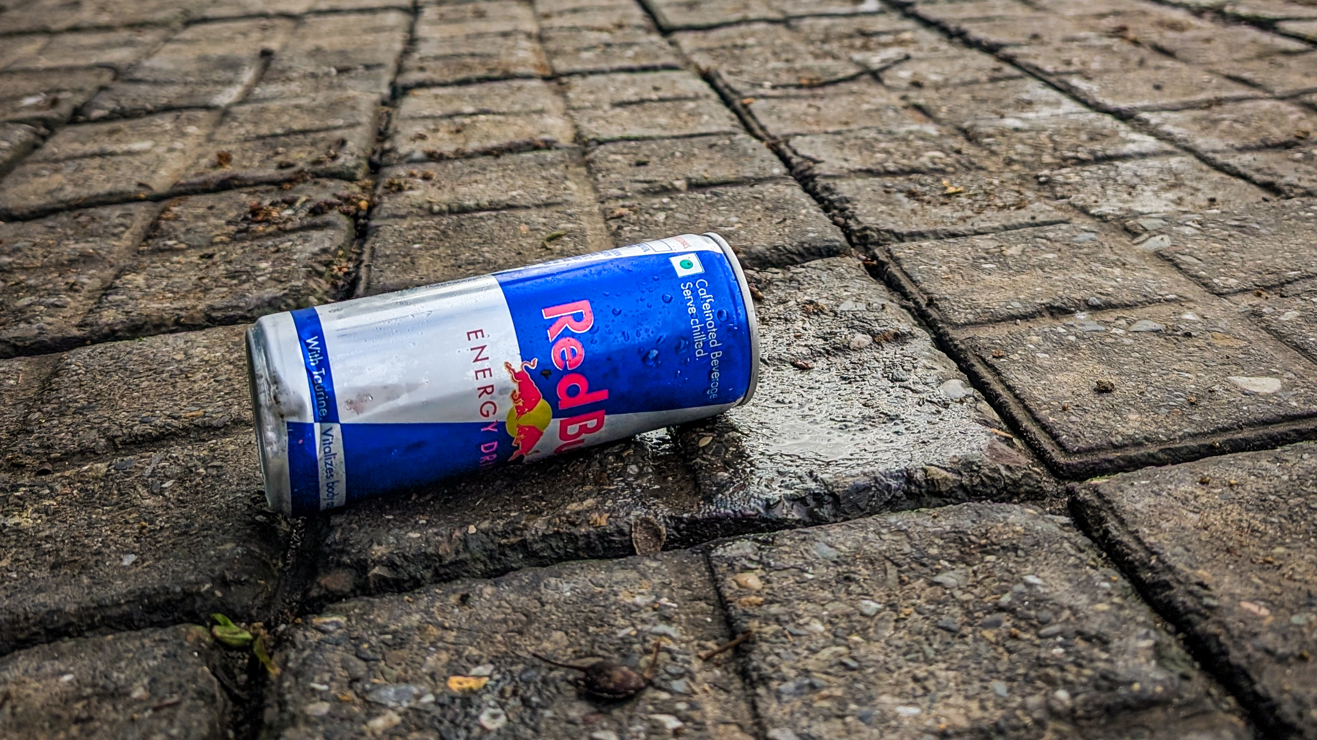 Discarded Red Bull can